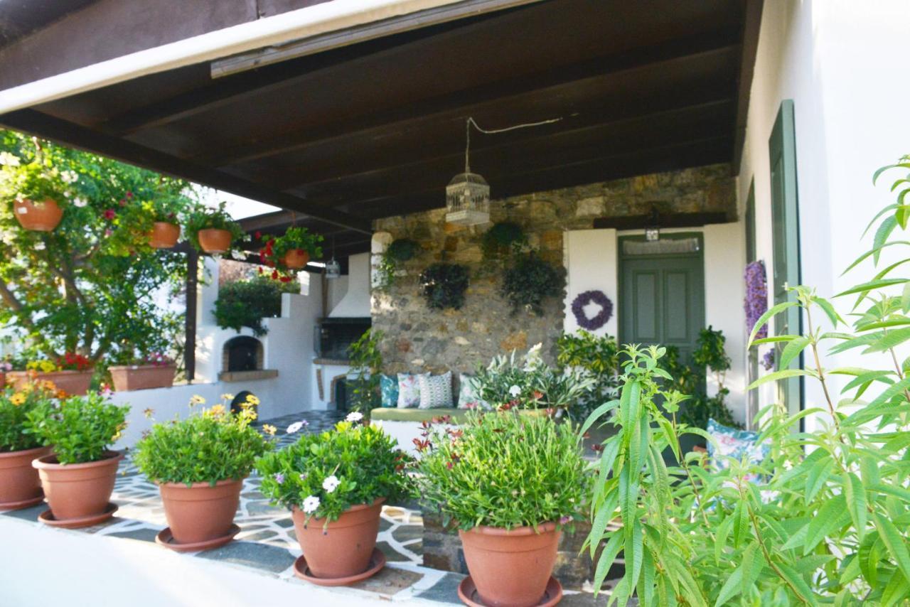Ktima Dimitrios Villa Naxos City Exterior photo