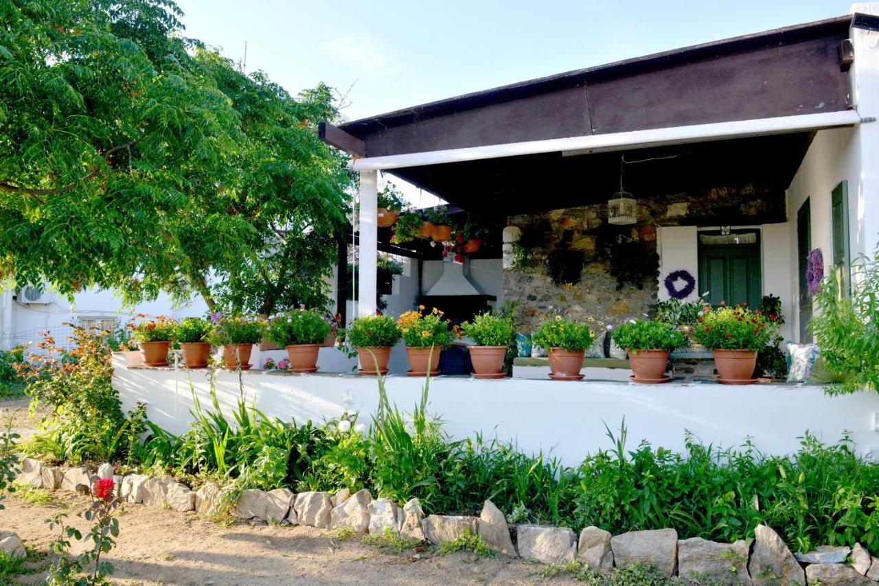 Ktima Dimitrios Villa Naxos City Exterior photo