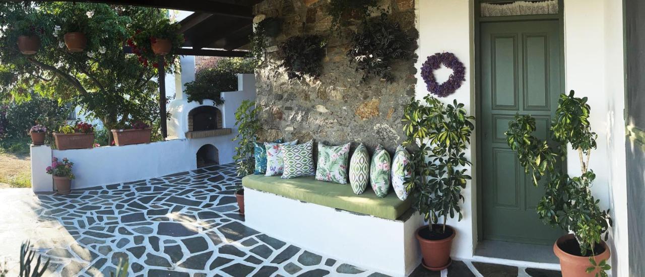 Ktima Dimitrios Villa Naxos City Exterior photo