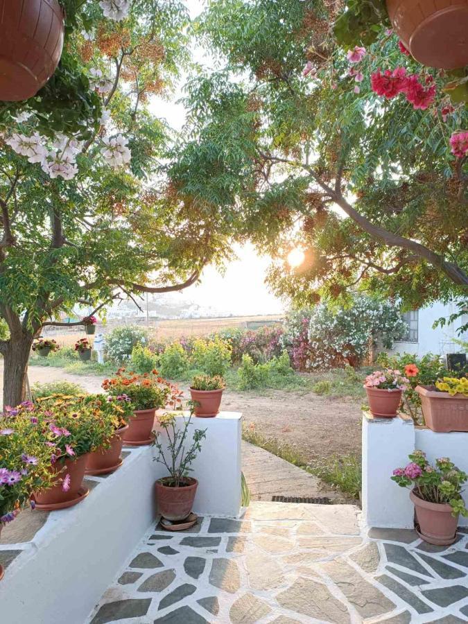 Ktima Dimitrios Villa Naxos City Exterior photo